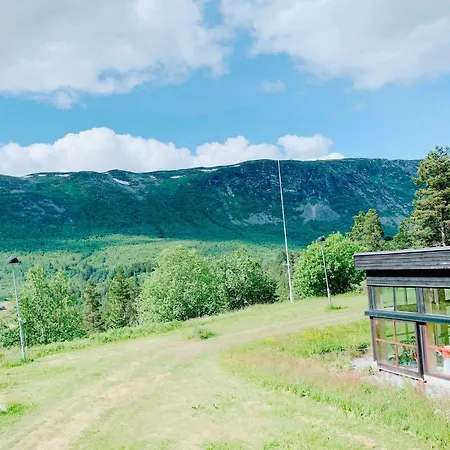 Hallingskarvet 2*